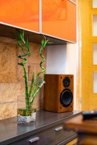 piso vacacional en la playa de Rodeira