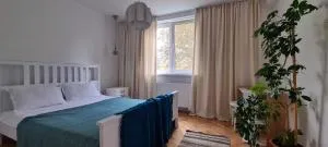 Ioana Apartment Resita - Dognecea