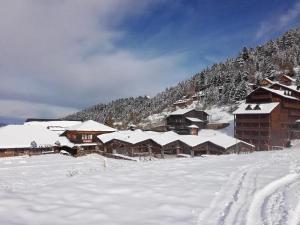 Appartements Pied des pistes, pleine nature : photos des chambres