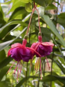 Tambaridge Bed & Breakfast