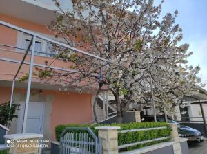 Apartments with a parking space Rogoznica - 17138