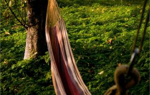 3 Bedroom Stunning Home In Wolin