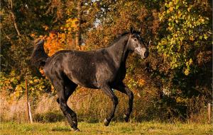 3 Bedroom Stunning Home In Wolin