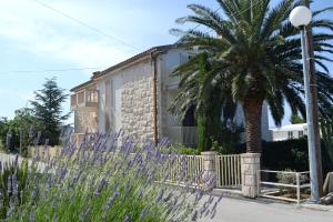 Apartments by the sea Zivogosce - Mala Duba, Makarska - 17077