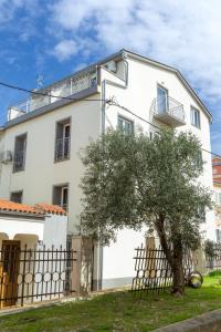 Apartments with a parking space Novalja, Pag - 17140