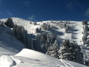 Chalets Chalet Chamrousse, 5 pieces, 8 personnes - FR-1-549-105 : photos des chambres