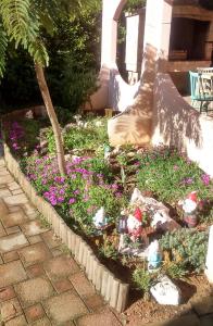 Apartments with a parking space Povljana, Pag - 17337