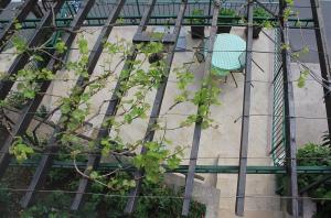 Apartments by the sea Moscenicka Draga, Opatija - 17381 