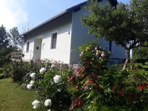 Apartments with a parking space Slunj, Plitvice - 17408 