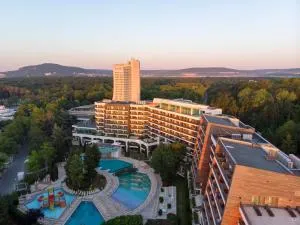 Flamingo Grand Hotel & Spa - Rogachevo