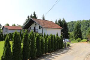 Apartments with a parking space Donje Taboriste, Plitvice - 17527