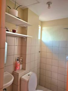 Pet Friendly Transient along Ortigas Ext