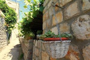 Apartment Lopud 17200a