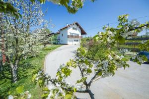 Apartments with a parking space Slunj, Plitvice - 17380 