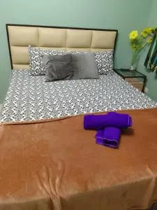 Affordable Condo for Rent along Ortigas Extension - Malapandan