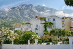 Apartments with a parking space Baska Voda, Makarska - 17331