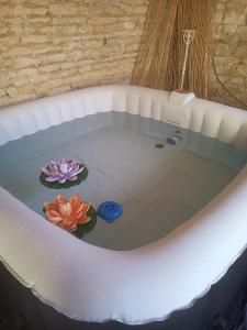 B&B / Chambres d'hotes Grande chambre d'hote avec piscine chauffee et Jacuzzi a disposition : photos des chambres