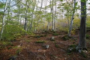 Holiday home Mirador Sierra del Madero - Trébago