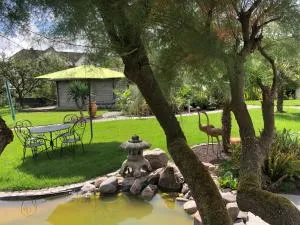 Ferienwohnung am Pferdemarkt - Igel