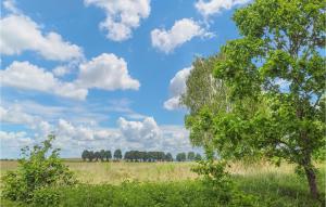 Pet Friendly Home In Wygon With Kitchen