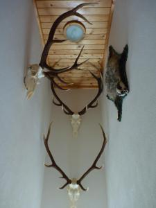 Dovolenkový dom Dudáš