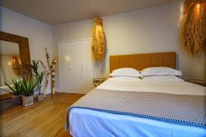 GraffitiSuites#CACTUS