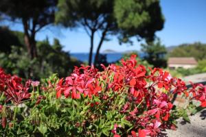 Casa del Mare - Oasi verde a soli 100m dal mare!
