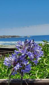 Morros House Pichilemu