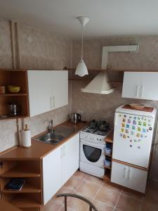 Apartments in Panevezys city center