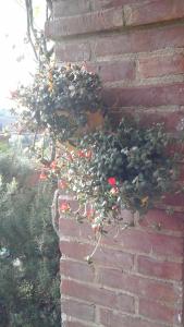 Appartamento con vista panoramica