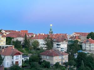 Prostorný apartmán v rodinném domě blízko centra s výhledem do zahrady