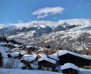 Appartements Superb studio terrace ski in Montchavin : Appartement