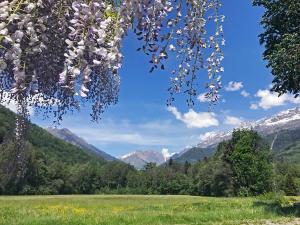 Le Chat Perche - Appartements 3 etoiles spacieux et chaleureux a Allemond : Appartement avec Vue sur la Montagne