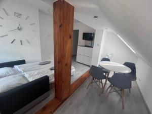 Apartament przy Parku Zdrojowym