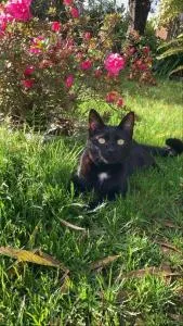 Casa dos avós - Penedo