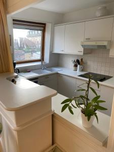 Appartements L'Oustal Coeur de ville : Appartement 2 Chambres