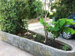 Apartments with a parking space Artatore, Losinj - 17591