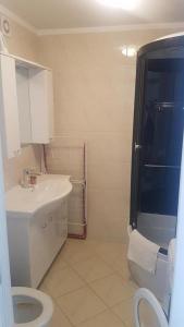 Apartments with a parking space Rijeka - 17663 