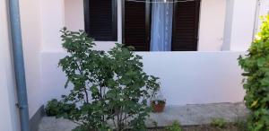 Apartment Crikvenica 17675a