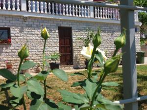 Apartment Smolici 17688a