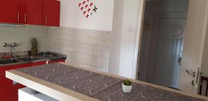 Apartments with WiFi Rijeka - 17761