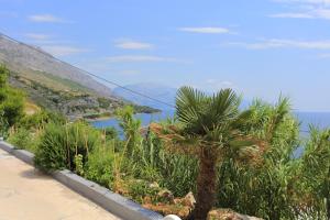 Apartment Lokva Rogoznica 17645a