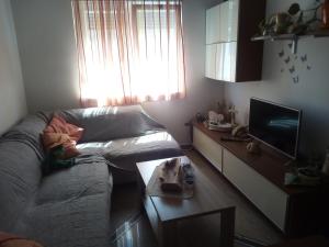 Apartment Zadar 17813a