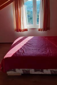 Apartments with parking space Lumbarda, Korcula - 18037