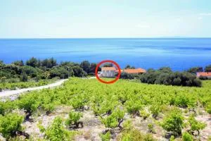 Family friendly seaside apartments Dingac - Borak, Peljesac - 18060 - Gornji Dingač