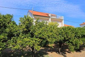 Apartments with parking space Trogir - 18116