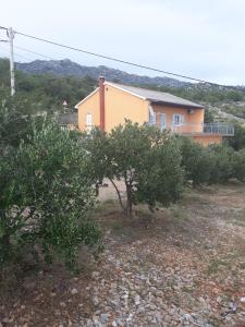 Apartments with a parking space Tribanj, Paklenica - 18136