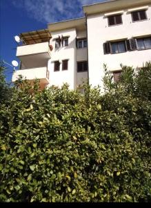Apartments with a parking space Crikvenica - 18175 