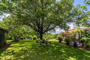 Apartments with a parking space Matijasi, Central Istria - Sredisnja Istra - 18207 