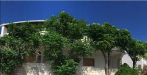 Apartments by the sea Kustici, Pag - 18248 